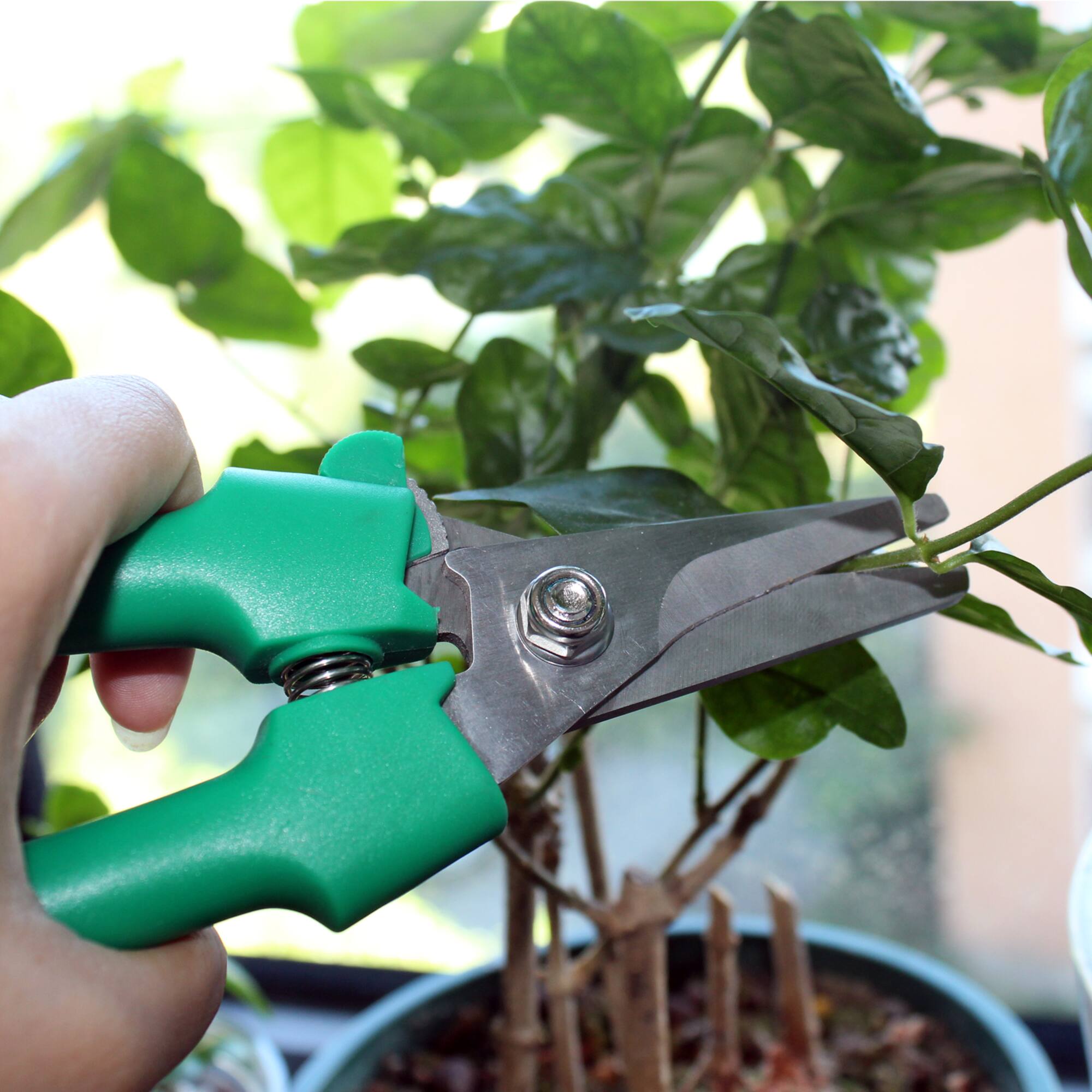 Stainless Steel Floral Snips by Ashland™